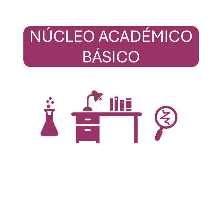 Nucleo_academico_img